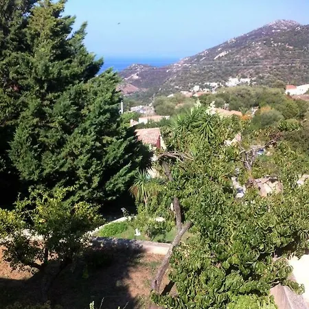 Apartment Arinella